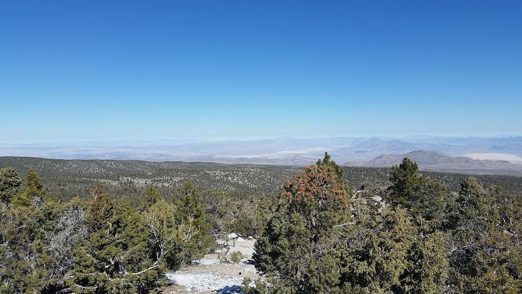 Mount Charleston Cabins | 5355 Kyle Canyon Rd, Las Vegas, NV 89124, USA | Phone: (702) 872-5408