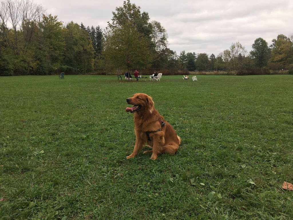 Bernards Twp Dog Run Park | S Maple Ave, Basking Ridge, NJ 07920, USA