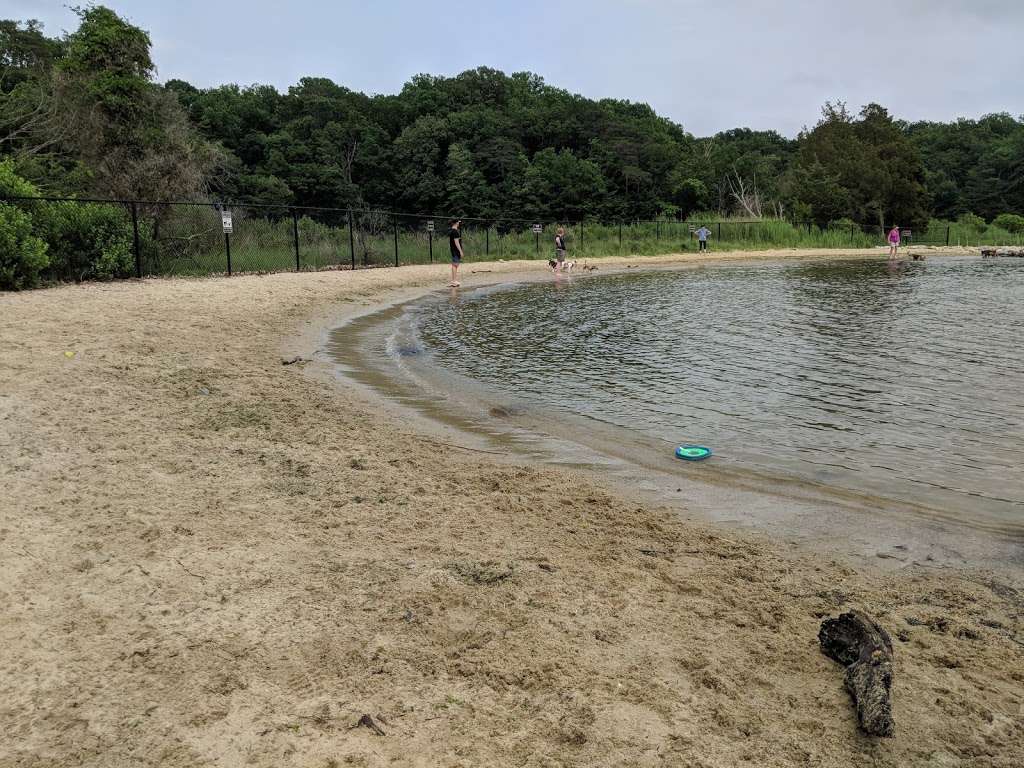 Quiet Waters Dog Beach | 1701-1799 Quiet Waters Park Rd, Annapolis, MD 21403, USA