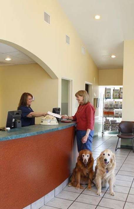 Hill Country Animal Hospital | 12410 Bandera Rd, Helotes, TX 78023 | Phone: (210) 695-4455