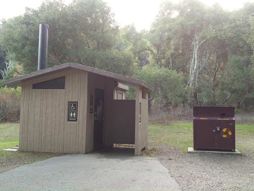 Jepson Laurel Tree | Sawyer Camp Recreation Trail, Burlingame, CA 94010, USA