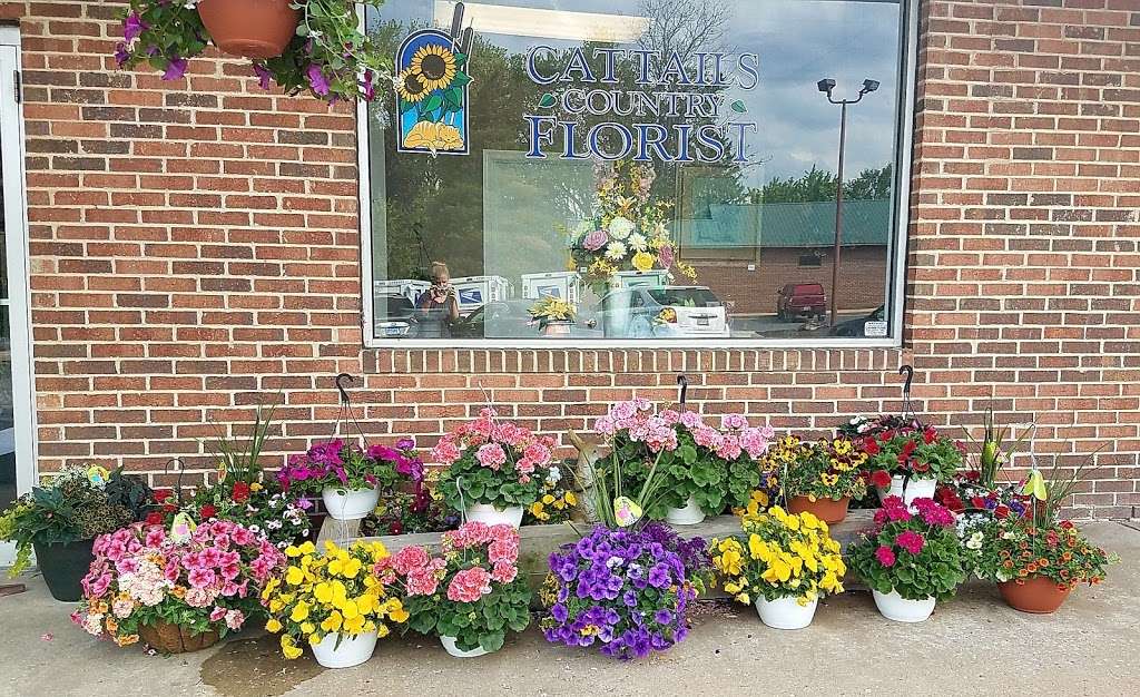 Cattails Country Florist | 7627 Woodbine Rd, Woodbine, MD 21797, USA | Phone: (410) 552-3900