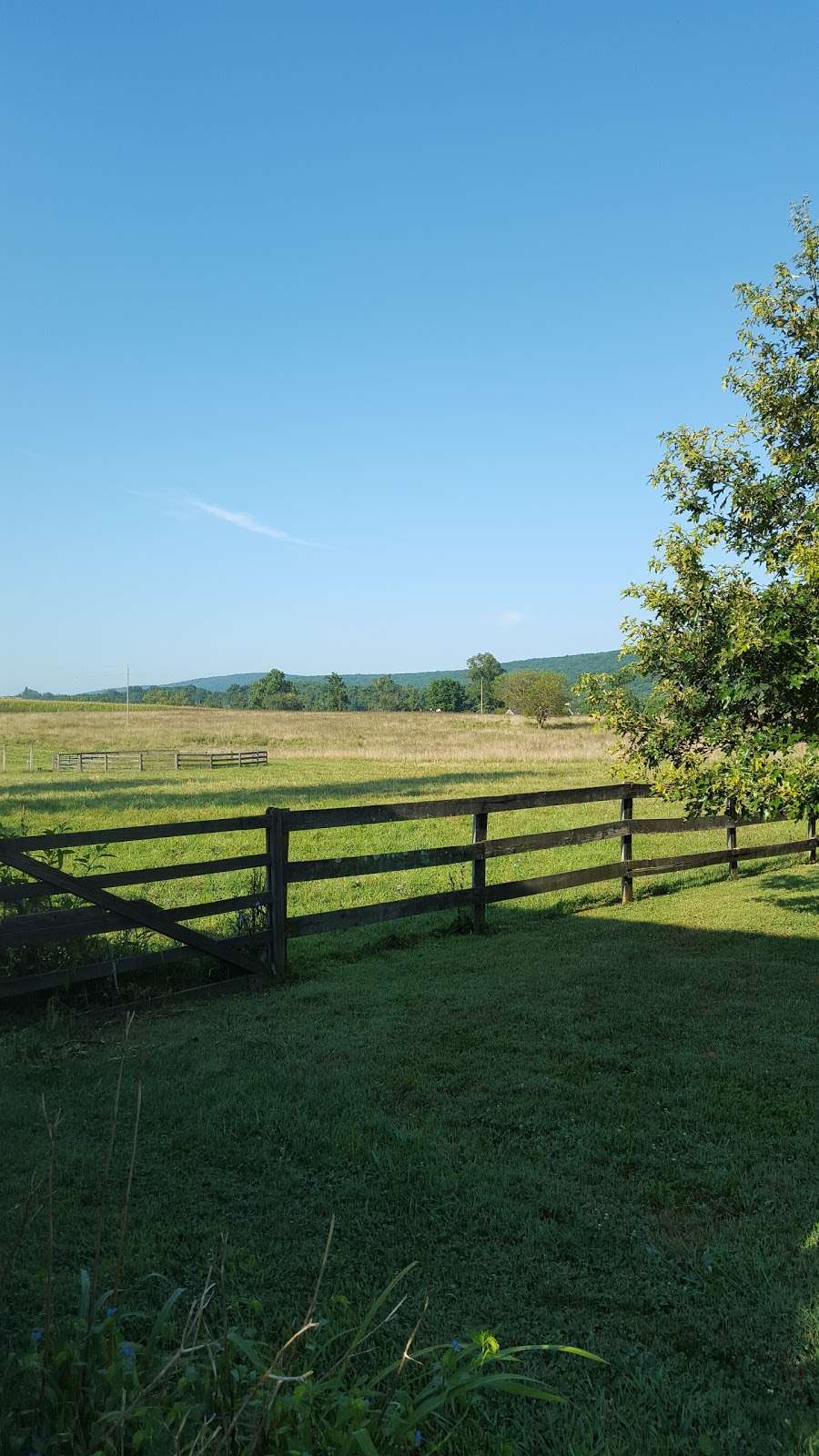 TangleTwig Farm B & B | 36011 Creamer Ln, Purcellville, VA 20132 | Phone: (540) 668-6345