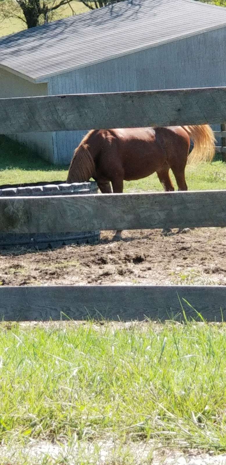 Graham Equestrian Center | 10301 Harford Rd, Glen Arm, MD 21057, USA | Phone: (410) 663-4445