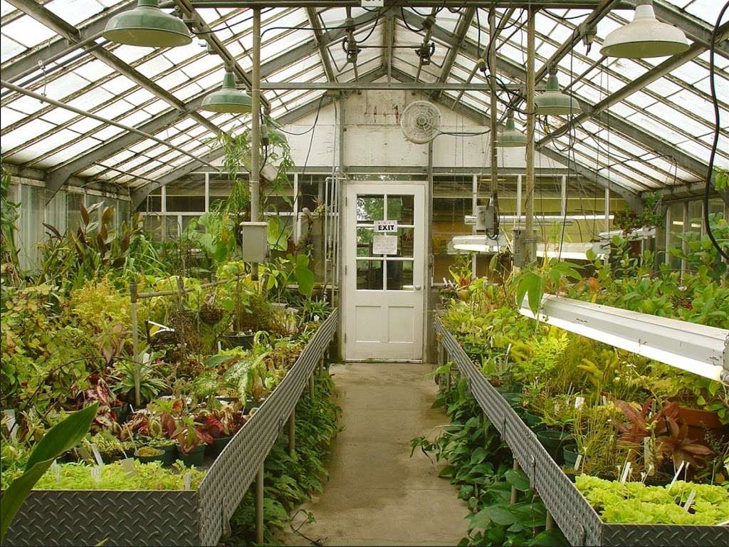 a plant depot | 409 Atlantic Ave, Oceanside, NY 11572, USA | Phone: (516) 903-1723