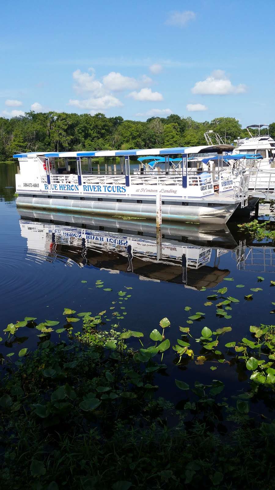Blue Heron River Tours Inc | 2999 West, FL-44, DeLand, FL 32720, USA | Phone: (386) 873-4843