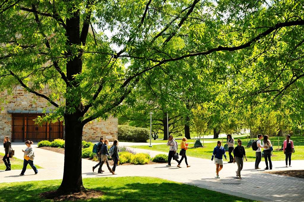 Goucher College | 1021 Dulaney Valley Rd, Baltimore, MD 21204, USA | Phone: (410) 337-6000
