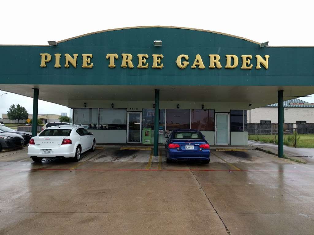 Pine Tree Garden Chinese | 3700 Shepherd Ln, Balch Springs, TX 75180, USA | Phone: (972) 286-0826