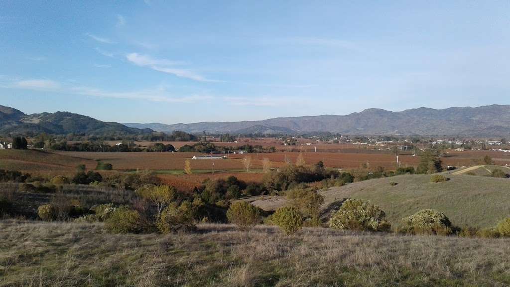 Napa Valley Land Brokers | 2297 Dry Creek Rd, Napa, CA 94558, USA | Phone: (707) 257-7217