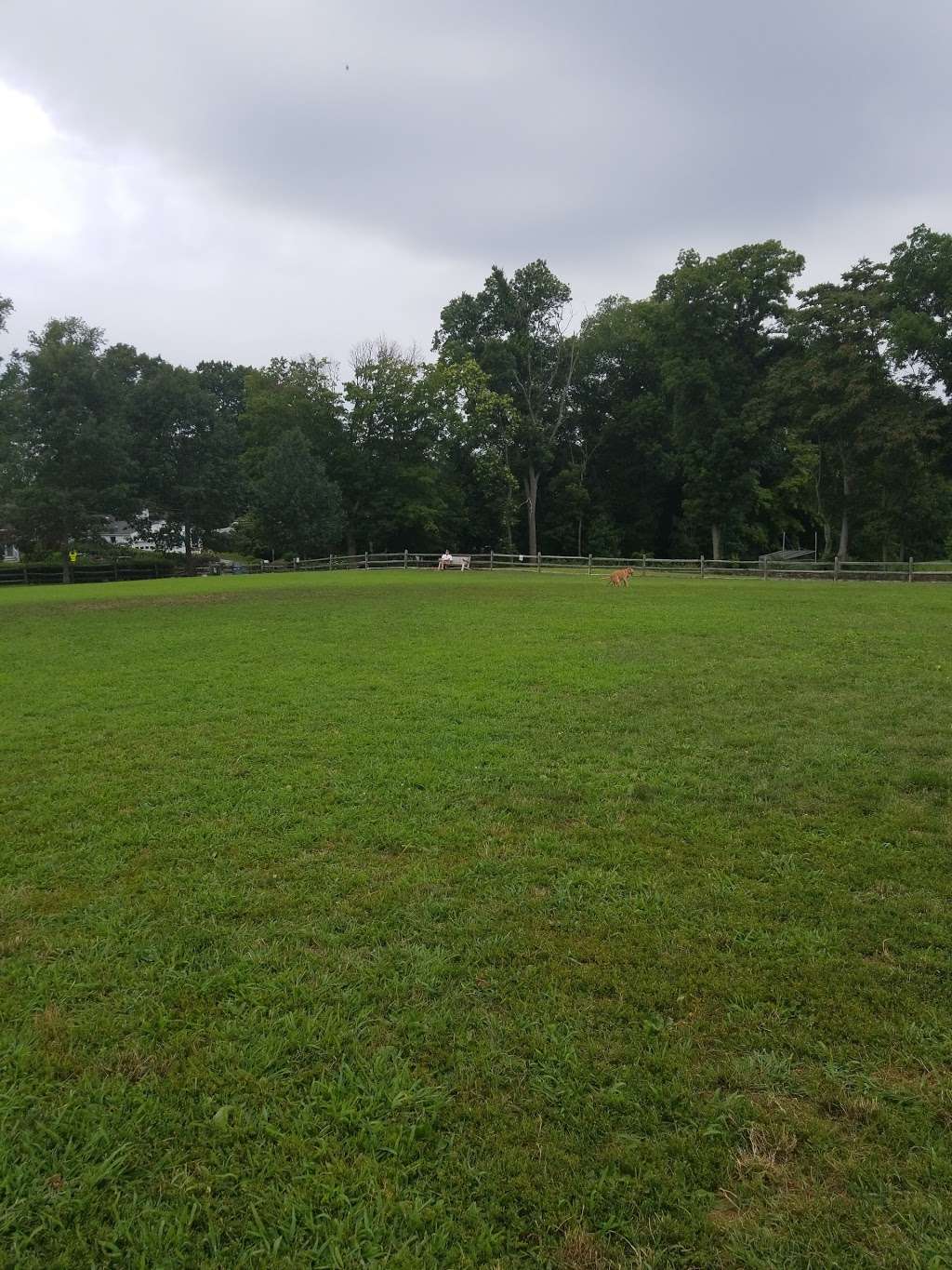 Rowayton Dog Park | 36 McKinley St, Norwalk, CT 06853, USA