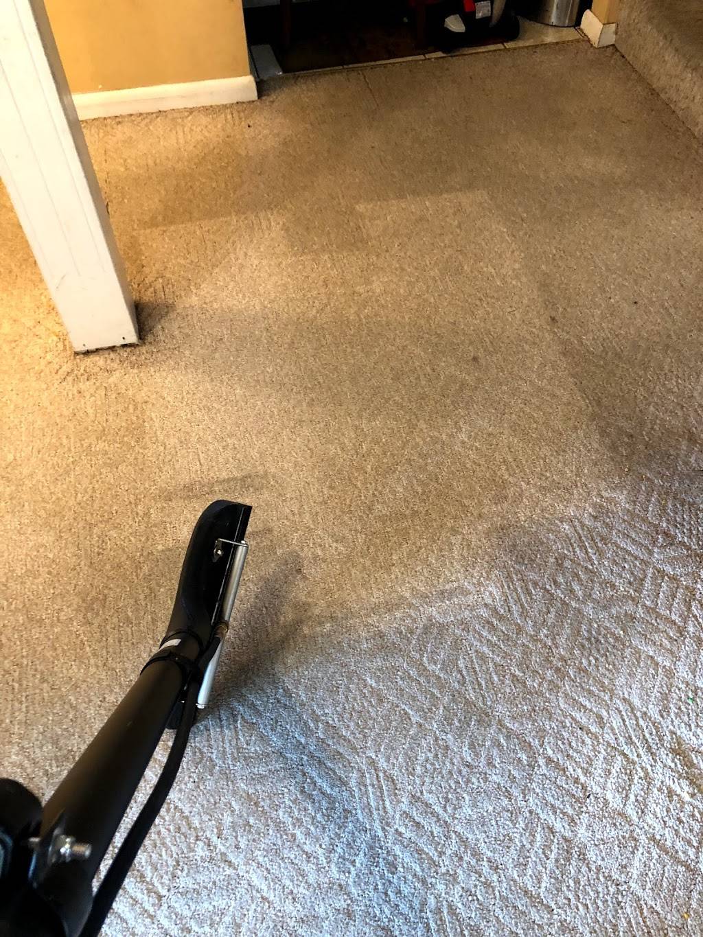 First Team Carpet Clean | 620 Innovation Dr #102, Chesapeake, VA 23320, USA | Phone: (757) 585-4342