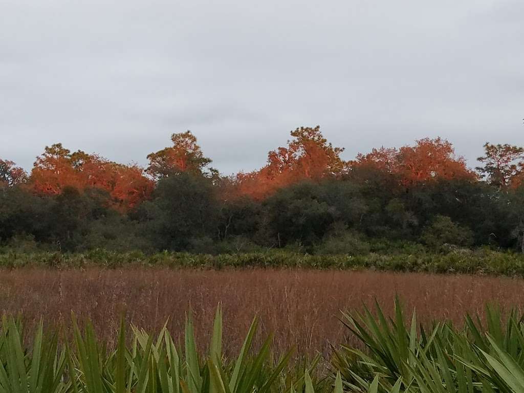 Juniper Prairie Wilderness | East Marion, FL, USA | Phone: (352) 625-2520