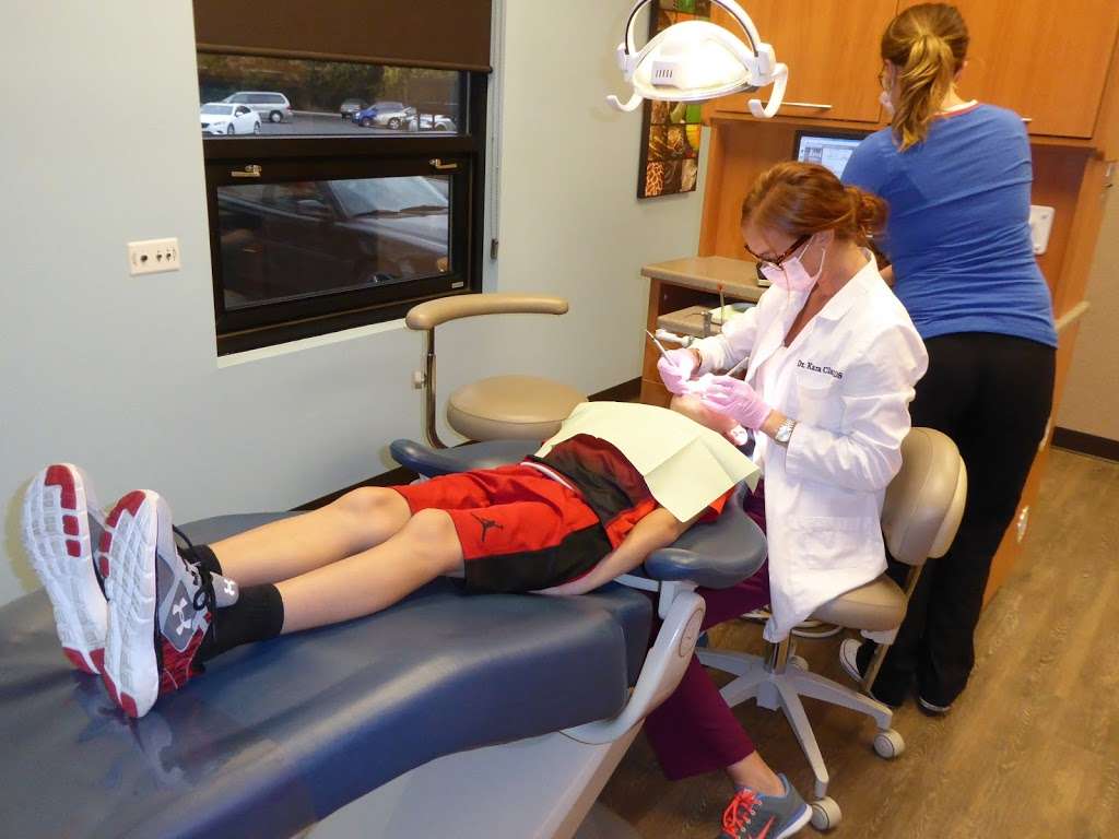 Pediatric Dental Care, Inc., Lynn M. Karr DDS | 1881 Greenwood Dr, Crown Point, IN 46307, USA | Phone: (219) 488-2410