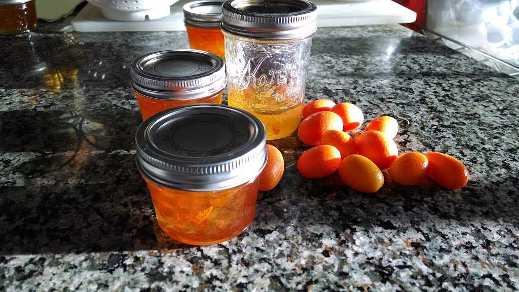 Temecula Valley Jams and Jelly Co. | One Better World Circle, Temecula, CA 92590, USA | Phone: (951) 415-6925