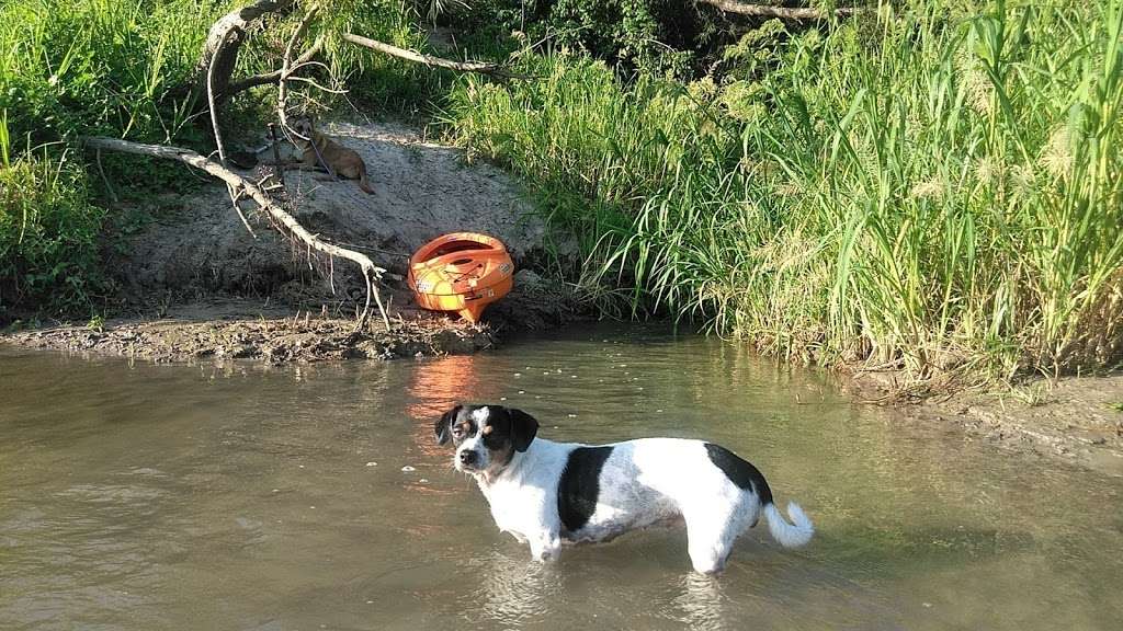 River Life Texas Camping | 1302 River Rd, Goodrich, TX 77335, USA | Phone: (832) 389-1910