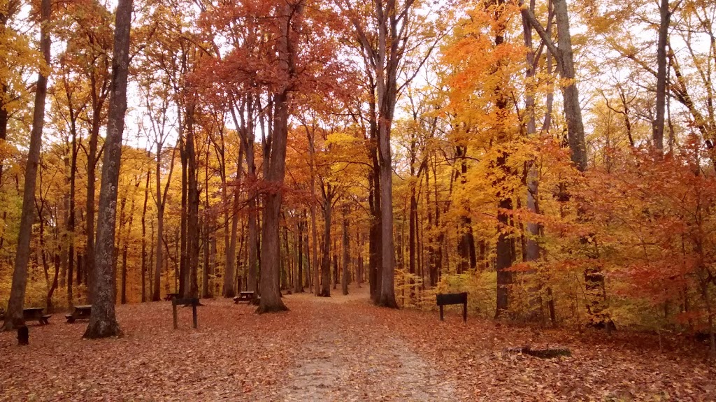 Scout Ridge Nature Preserve | Unionville, IN 47468, USA