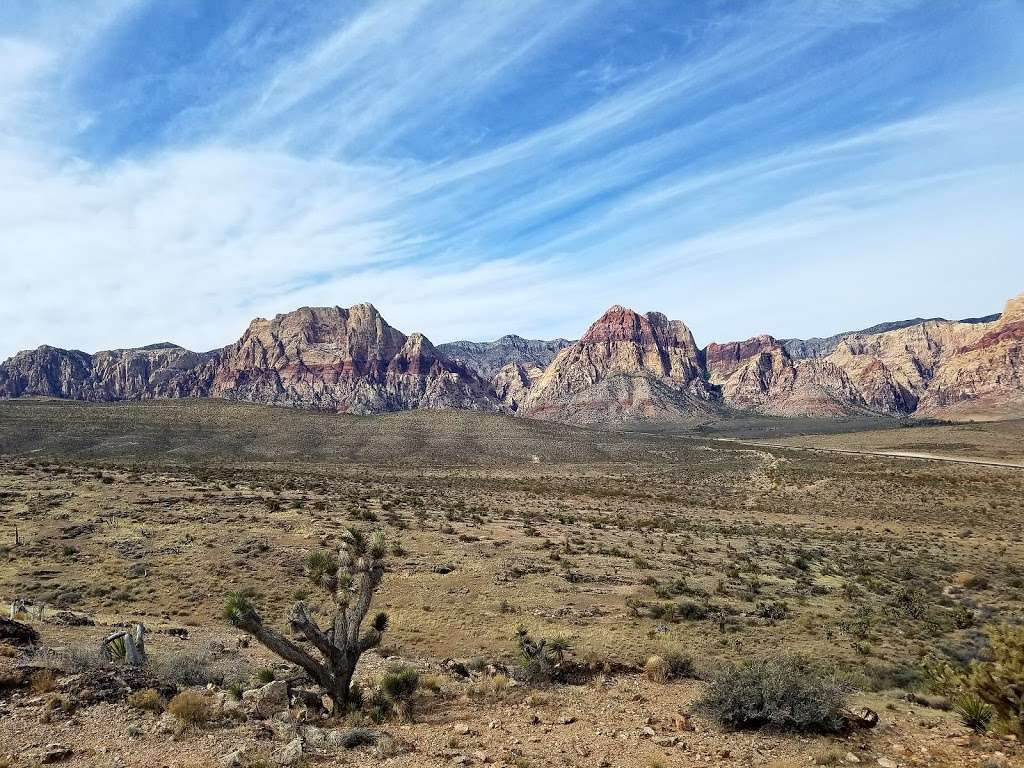 Cowboy Trail Rides | 4053 Fossil Ridge Rd, Las Vegas, NV 89161, USA | Phone: (702) 387-2457