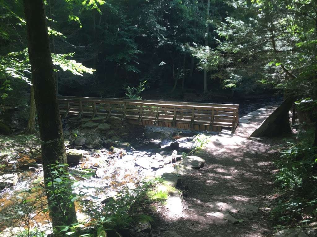 Waters Meet | Water Falls Trail, Benton, PA 17814, USA