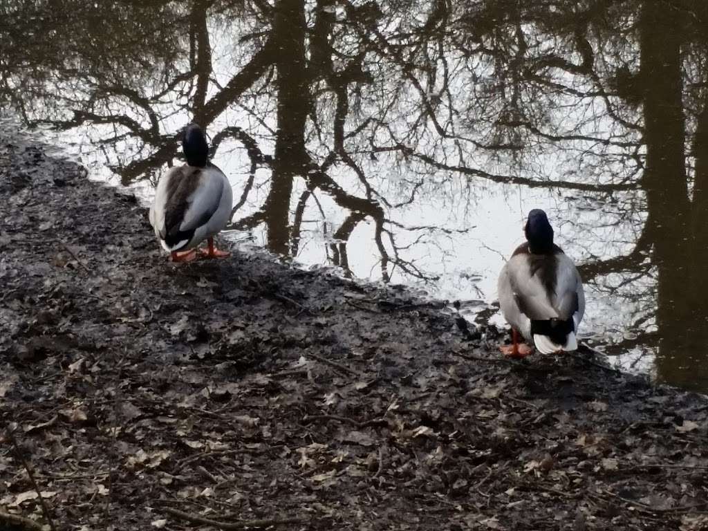 Hertford Heath Nature Reserve | 6 Harlings, Hertford Heath, Hertford SG13 7PQ, UK | Phone: 01727 858901