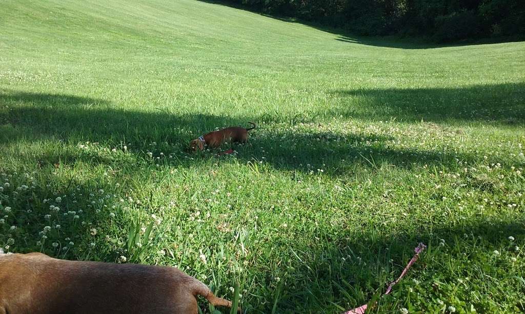 Leash Free Dog Run | Wyandotte County Lake Park Rd, Kansas City, KS 66109, USA | Phone: (913) 573-8327