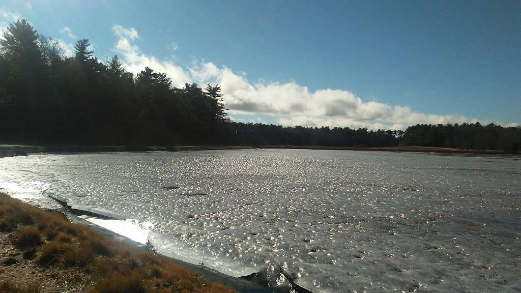 Cranberry Bogs | Carver, MA 02330, USA