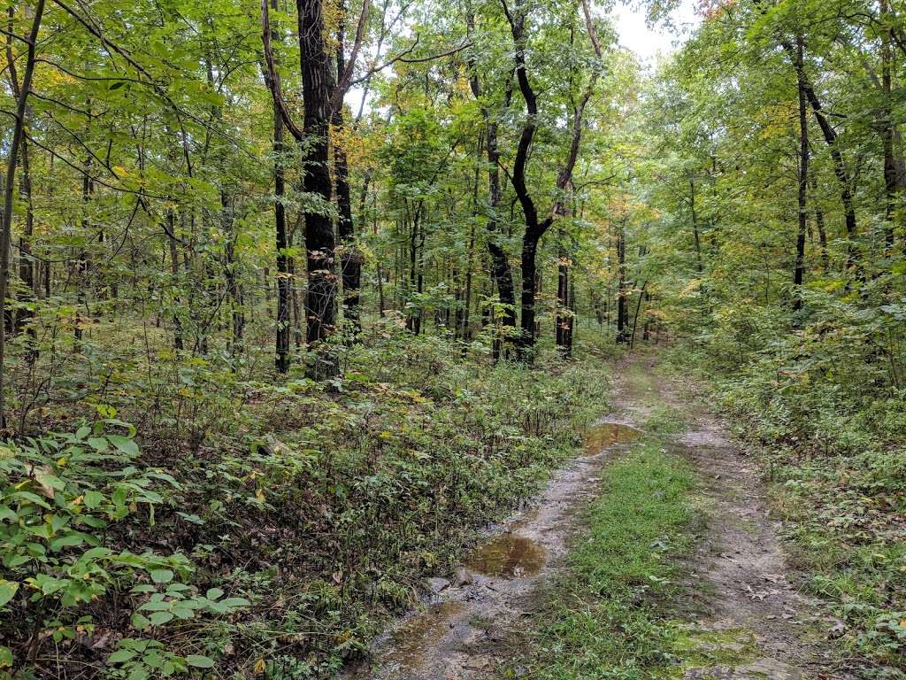 Appalachian Trail | County Rd 88, Pine Island, NY 10969, USA