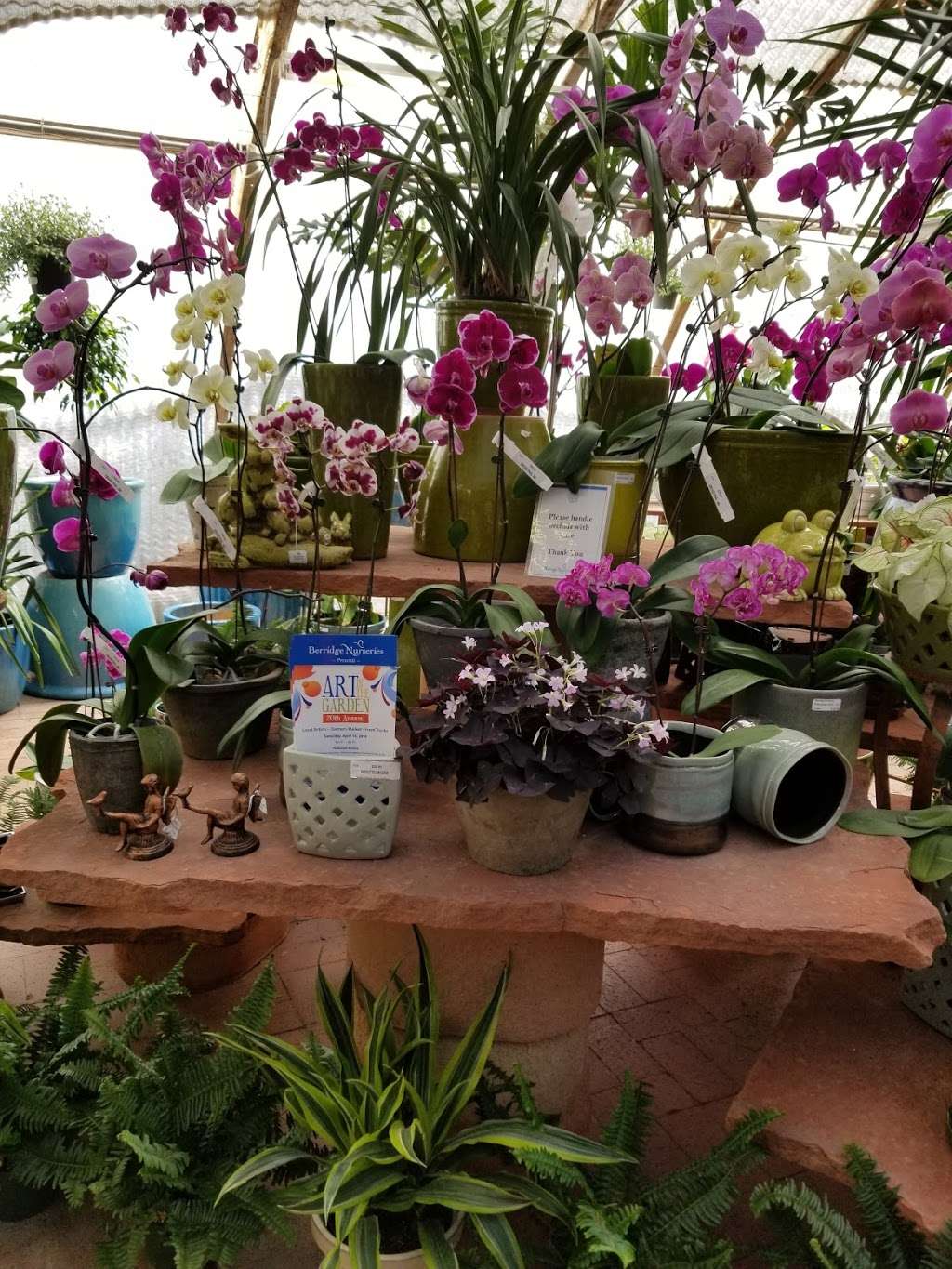 Berridge Nurseries | 4647 E Camelback Rd, Phoenix, AZ 85018, USA | Phone: (602) 952-8080