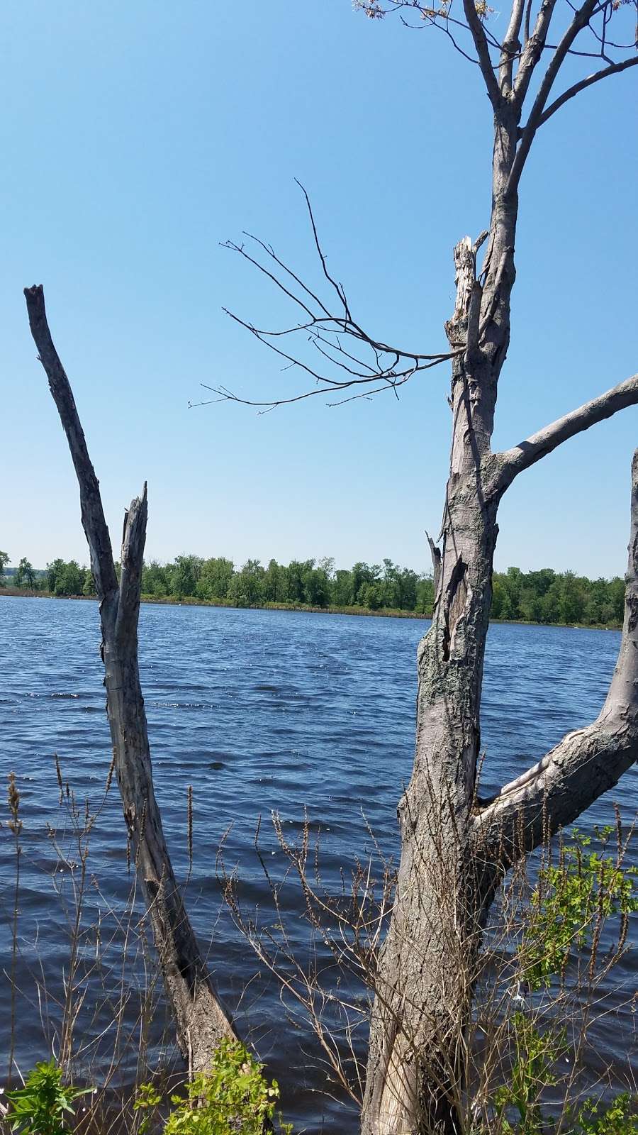 Hyper Humus Marsh | Newton, NJ 07860, USA