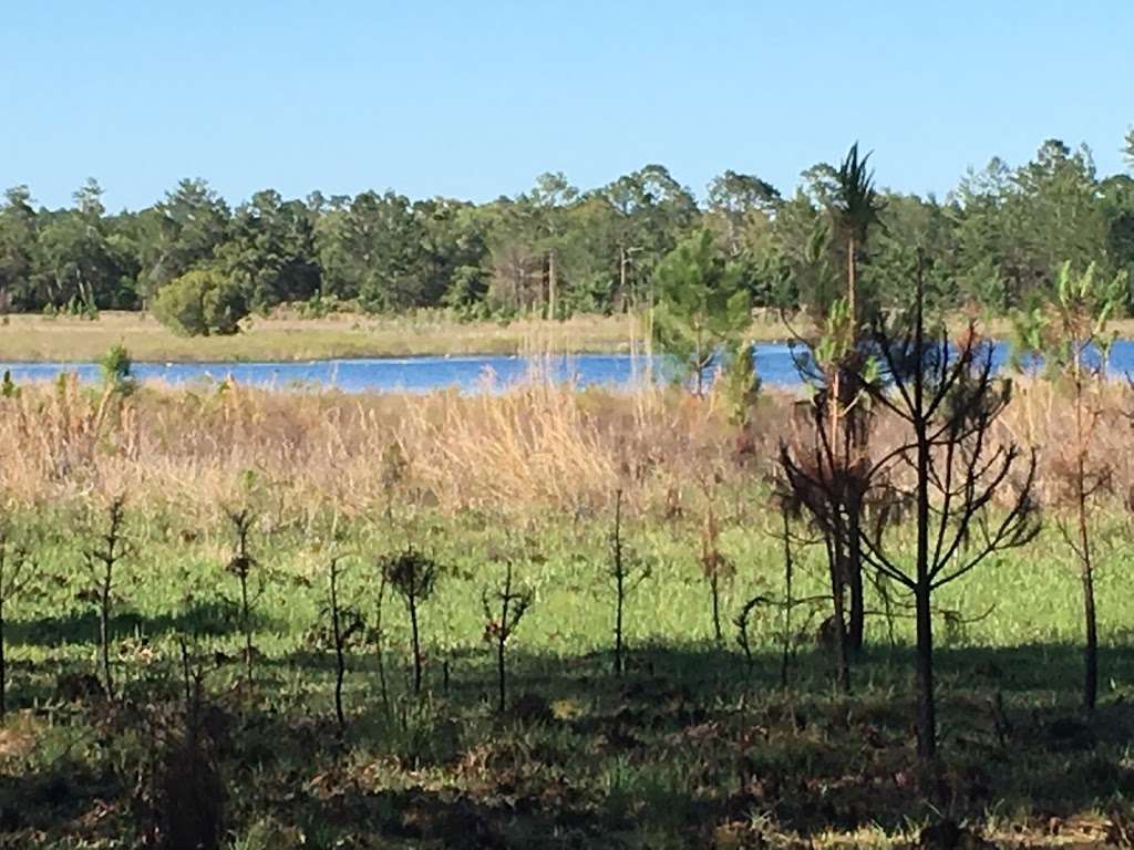 Hidden Pond | Florida