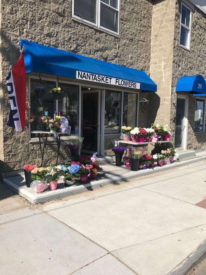 Nantasket Flowers | 293 Nantasket Ave, Hull, MA 02045, USA | Phone: (781) 258-1050