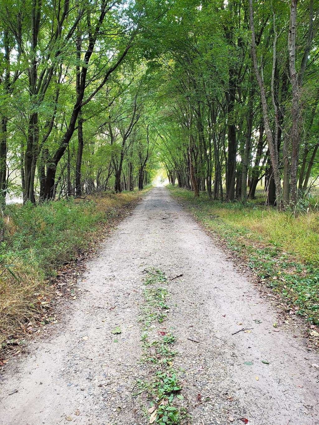 Wheelabrator Wildlife Refuge and Butterfly Garden | West Deptford, NJ 08093, USA | Phone: (856) 742-1484