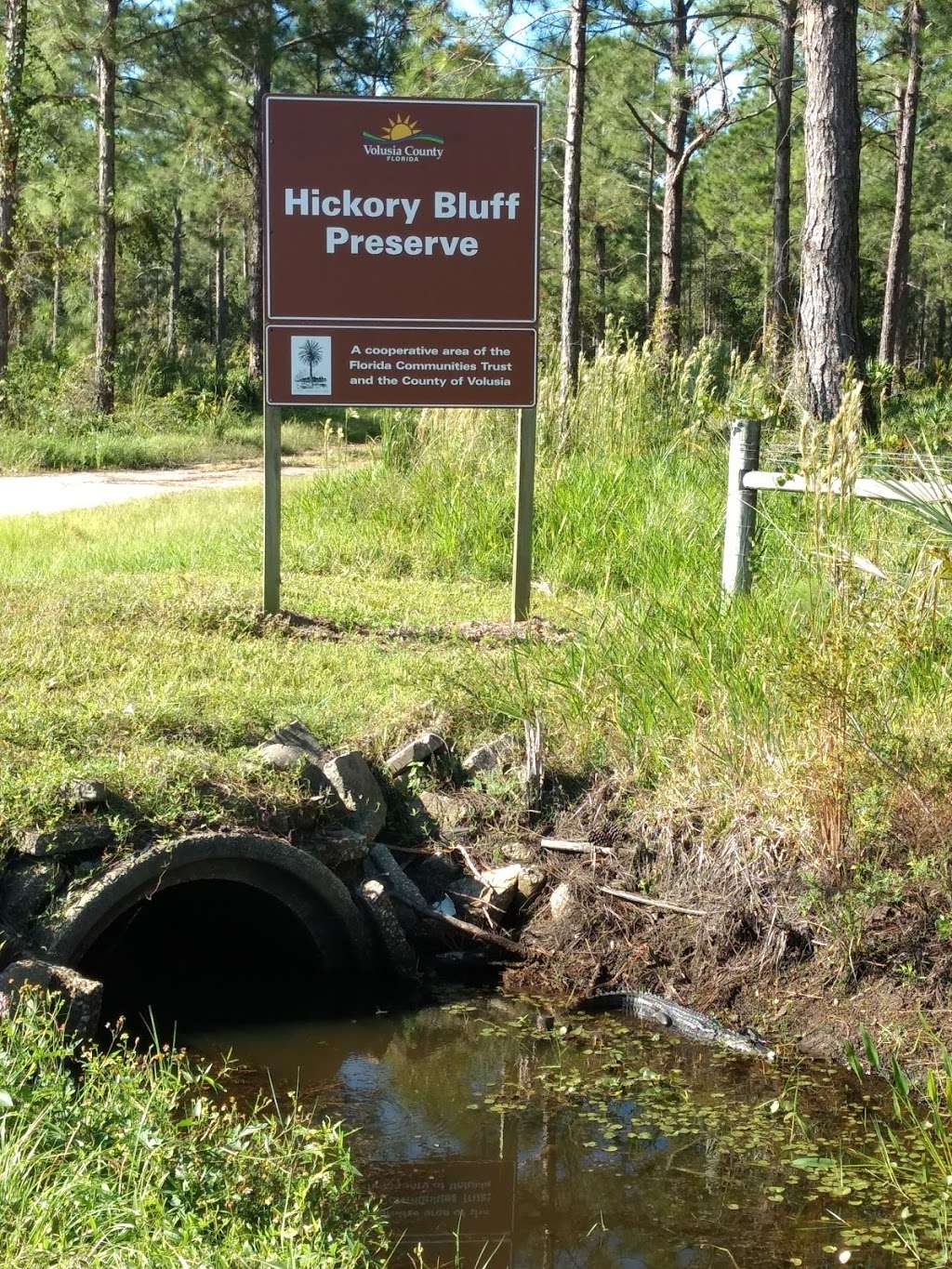 Hickory Bluff Preserve | 598 Guise Rd, Osteen, FL 32764 | Phone: (386) 424-6834