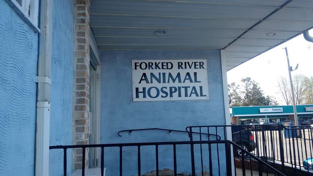 Forked River Animal Hospital | 127 S Main St, Forked River, NJ 08731, USA | Phone: (609) 971-7444