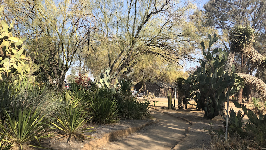 The Deutsch Cactus Garden | 1944 N Winery Ave, Fresno, CA 93703, USA | Phone: (559) 251-5533