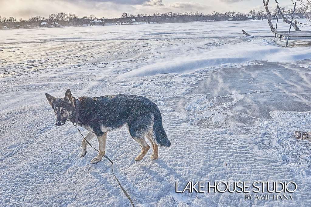 LAKE HOUSE STUDIO | 1819 E Grand Ave, Lindenhurst, IL 60046, USA