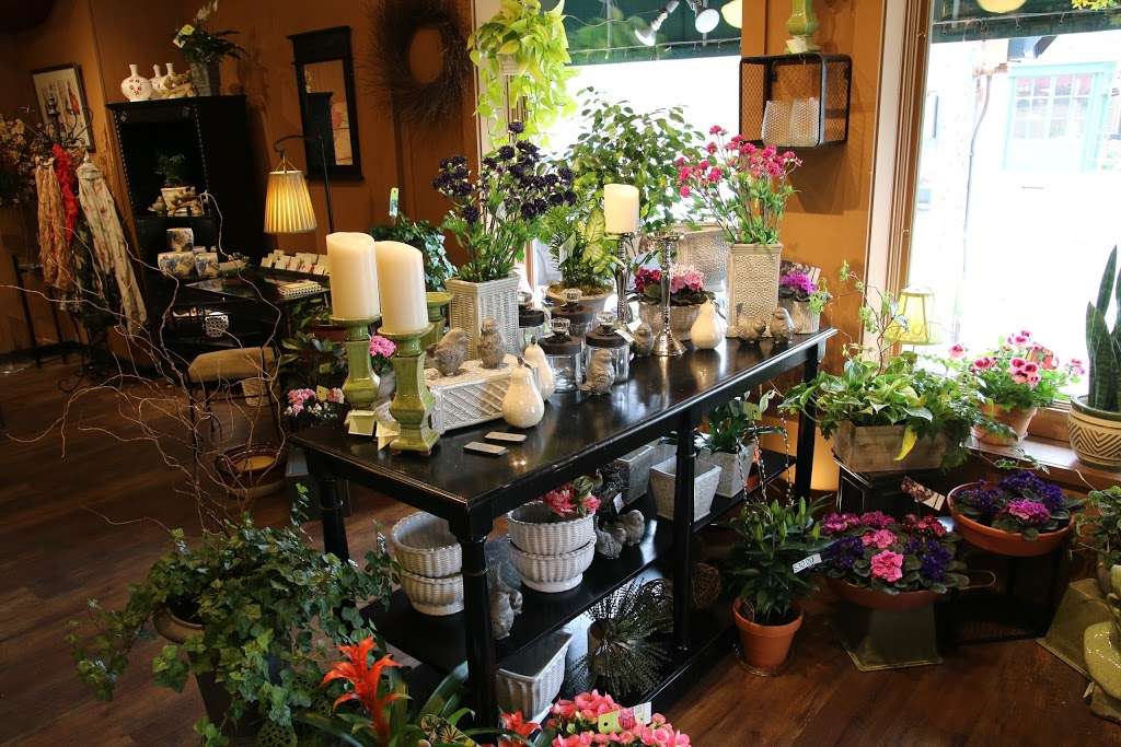 Roses Flower Shop | 800 N 68th St, Wauwatosa, WI 53213, USA | Phone: (414) 258-1161