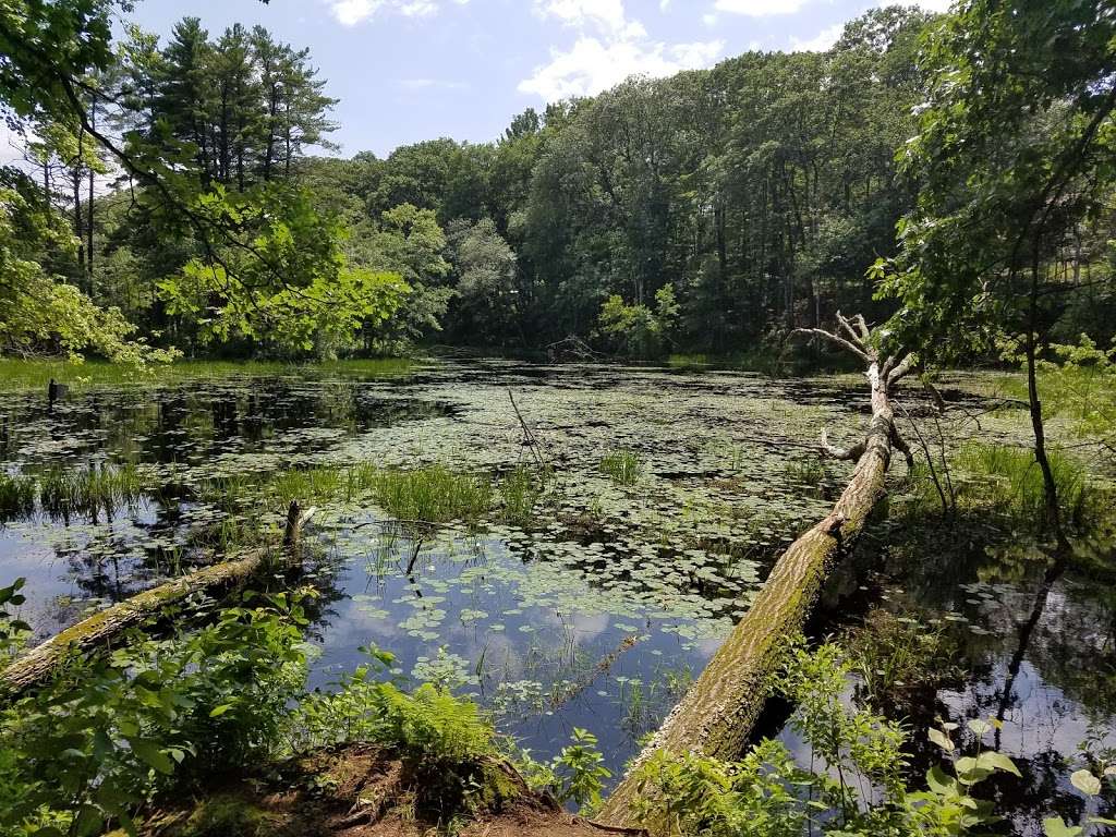 Hamlen Woods | Wayland, MA 01778, USA