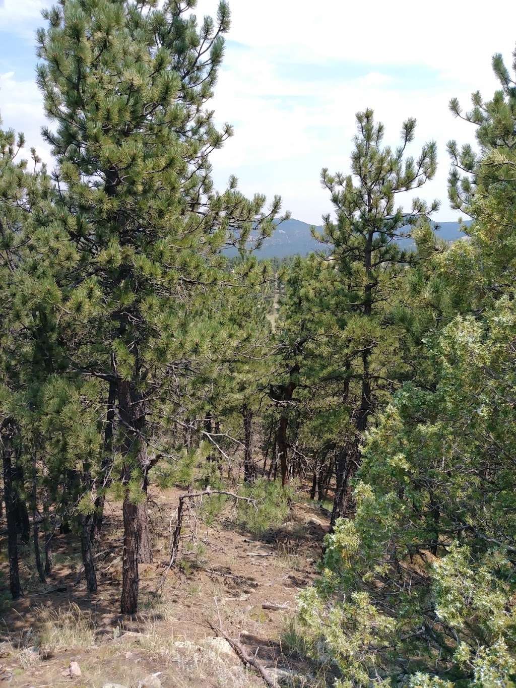 Betasso Trailhead | Bummers Rock Connector, Boulder, CO 80302