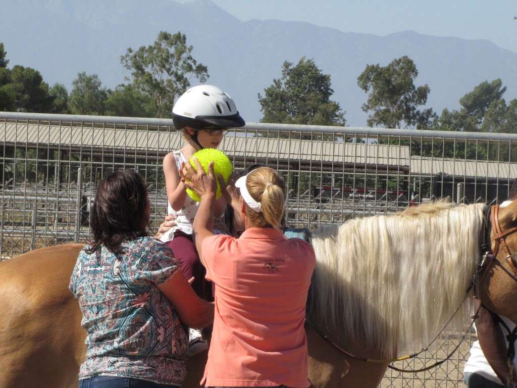 NDR Therapeutic Riding | 3659 Pedley Ave, Norco, CA 92860 | Phone: (951) 283-3967