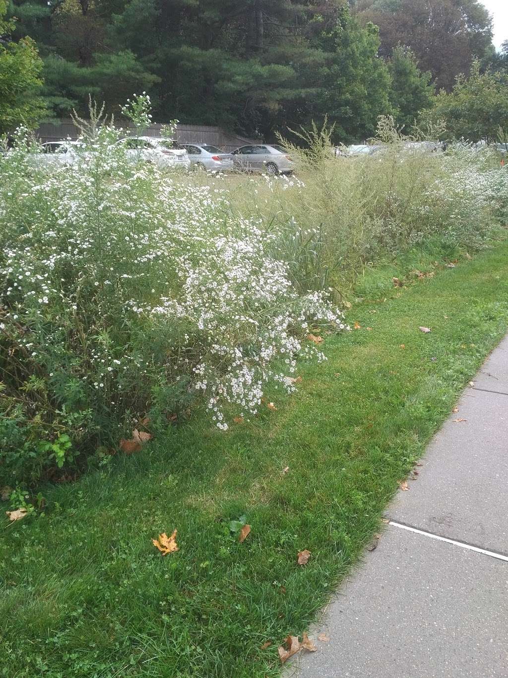 Temple Beth Elohim | 10 Bethel Rd, Wellesley, MA 02481, USA | Phone: (781) 235-8419