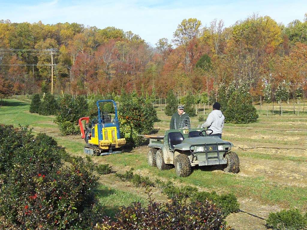 Trent Hill Farm & Nursery | 24 Nutwell Rd, Lothian, MD 20711 | Phone: (410) 867-9415