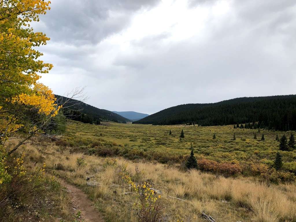 Long Gulch Trailhead | Forest Rd 817, Jefferson, CO 80456, USA