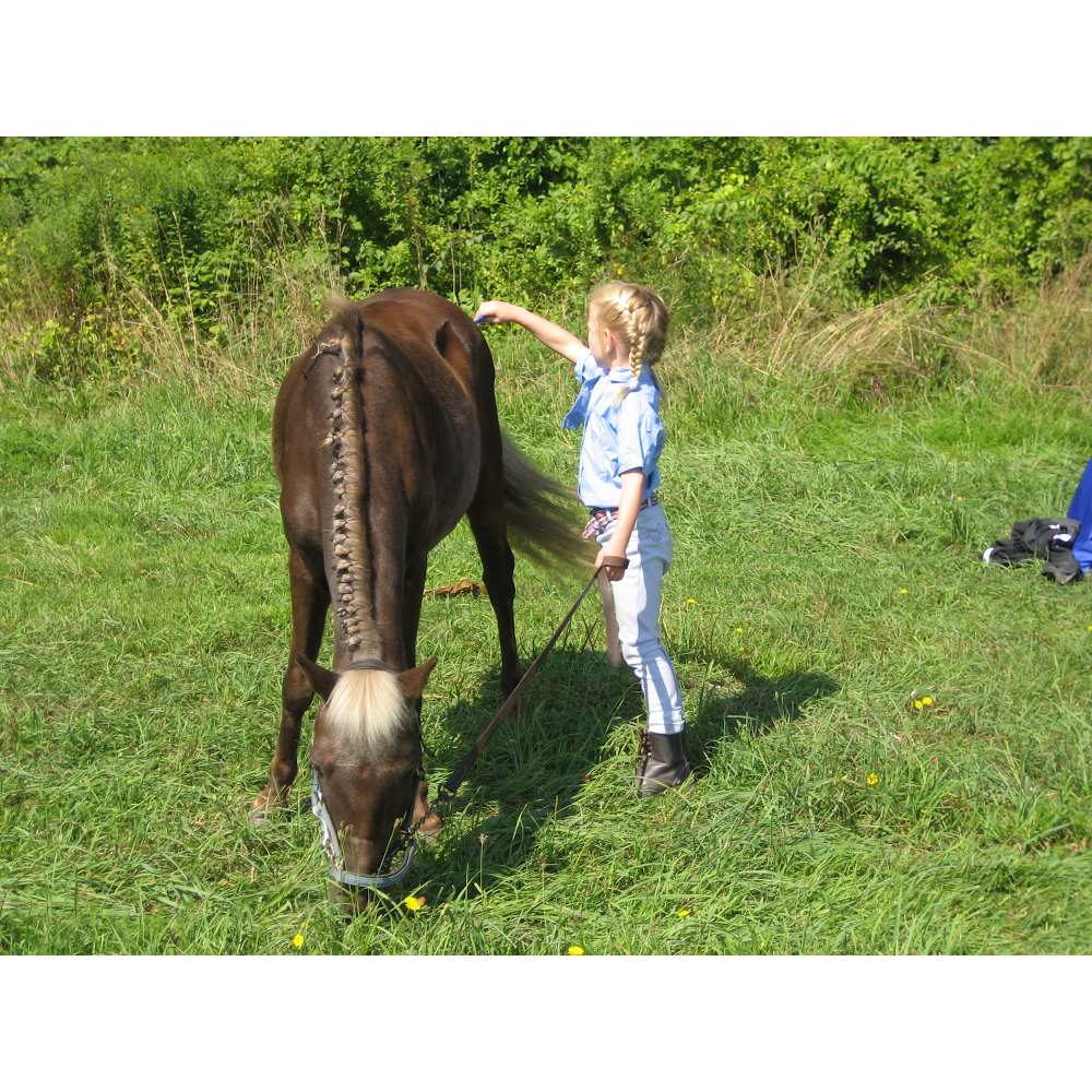 Serendipity Farm | 506 Plymouth St, Middleborough, MA 02346, USA | Phone: (774) 406-0605