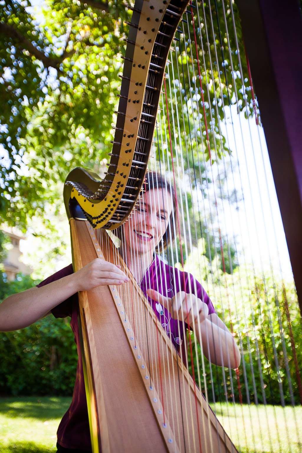 Colorado Harpist Erin Newton | 8341 Coors St, Arvada, CO 80005, USA | Phone: (303) 253-5090