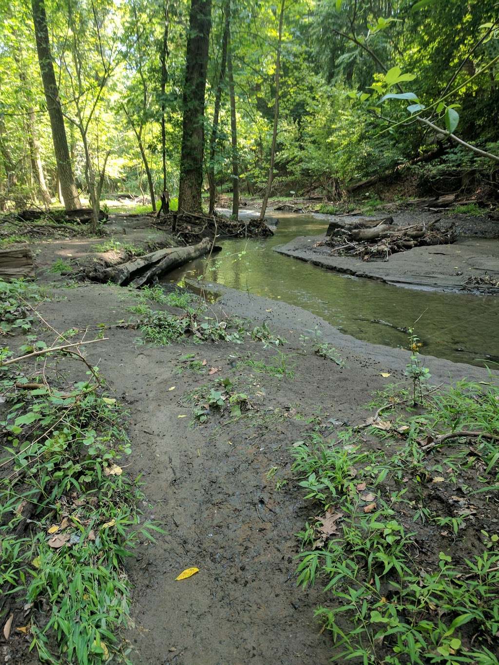 Poricy Park Fossil Beds | 1083 Middletown-Lincroft Rd, Middletown, NJ 07748, USA