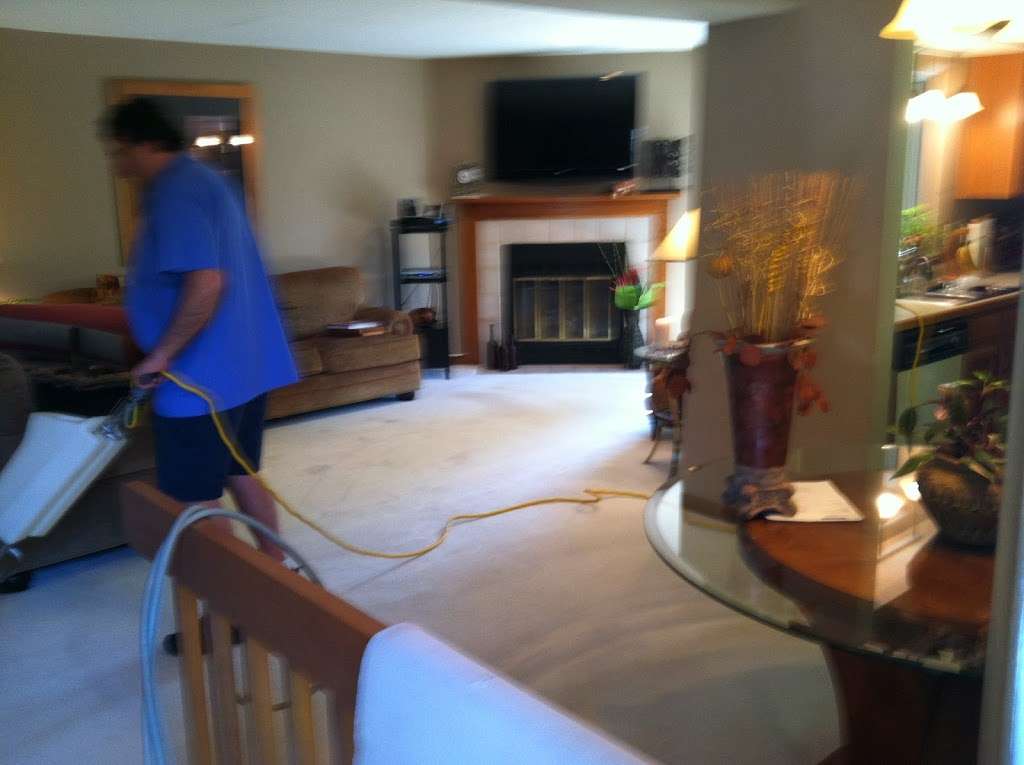 Edmonson Rug & Carpet Cleaners, INC | 2405 Raible Ave, Anderson, IN 46011, USA | Phone: (765) 642-4723