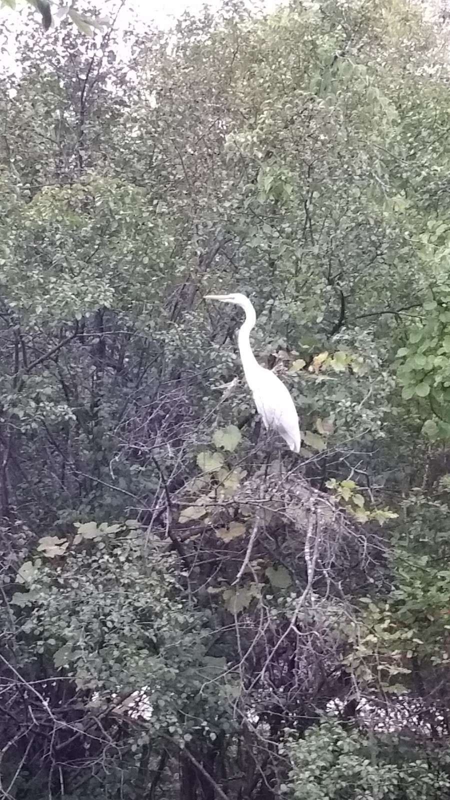 Fox River Fen Nature Preserve | Dundee Township, IL 60118, USA | Phone: (217) 785-8686