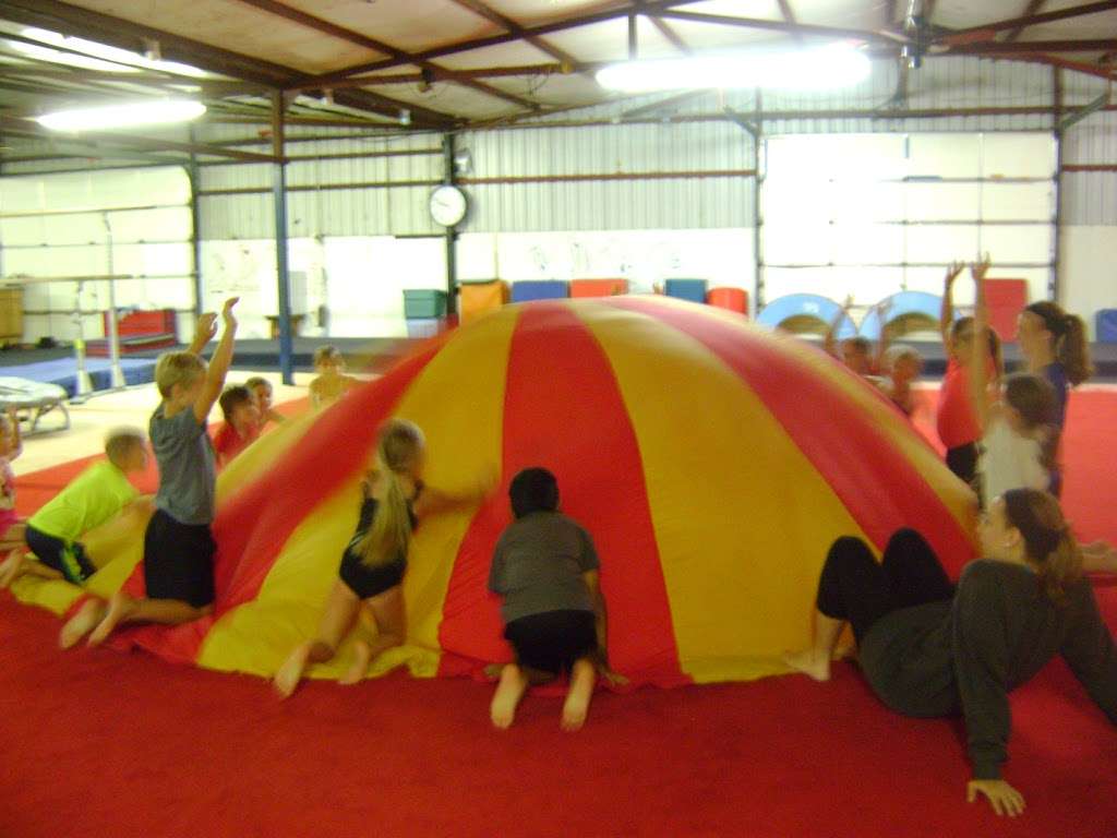 Wiseman Gymnastics Academy | 15617 Old US Hwy 441, Tavares, FL 32778, USA | Phone: (352) 343-1961