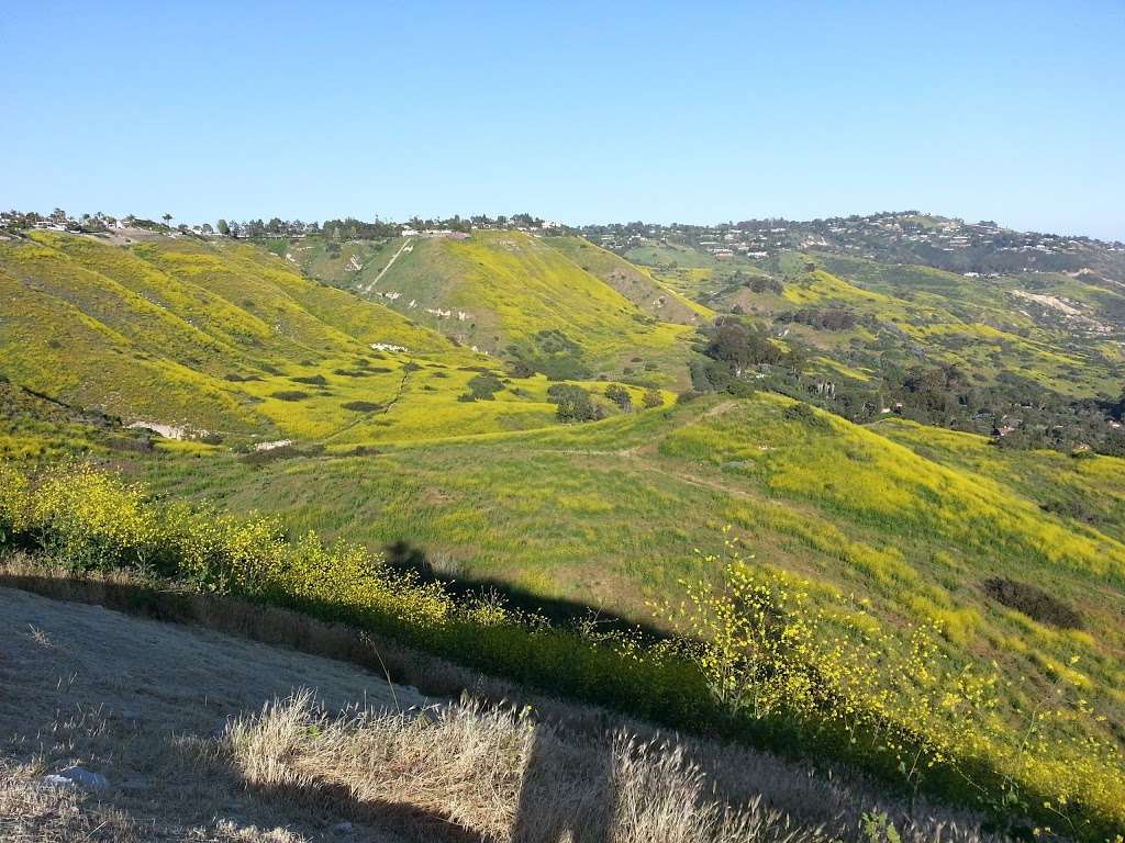 Filiorum Reserve | 916 Silver Spur Rd, Rolling Hills Estates, CA 90274, USA | Phone: (310) 541-7613