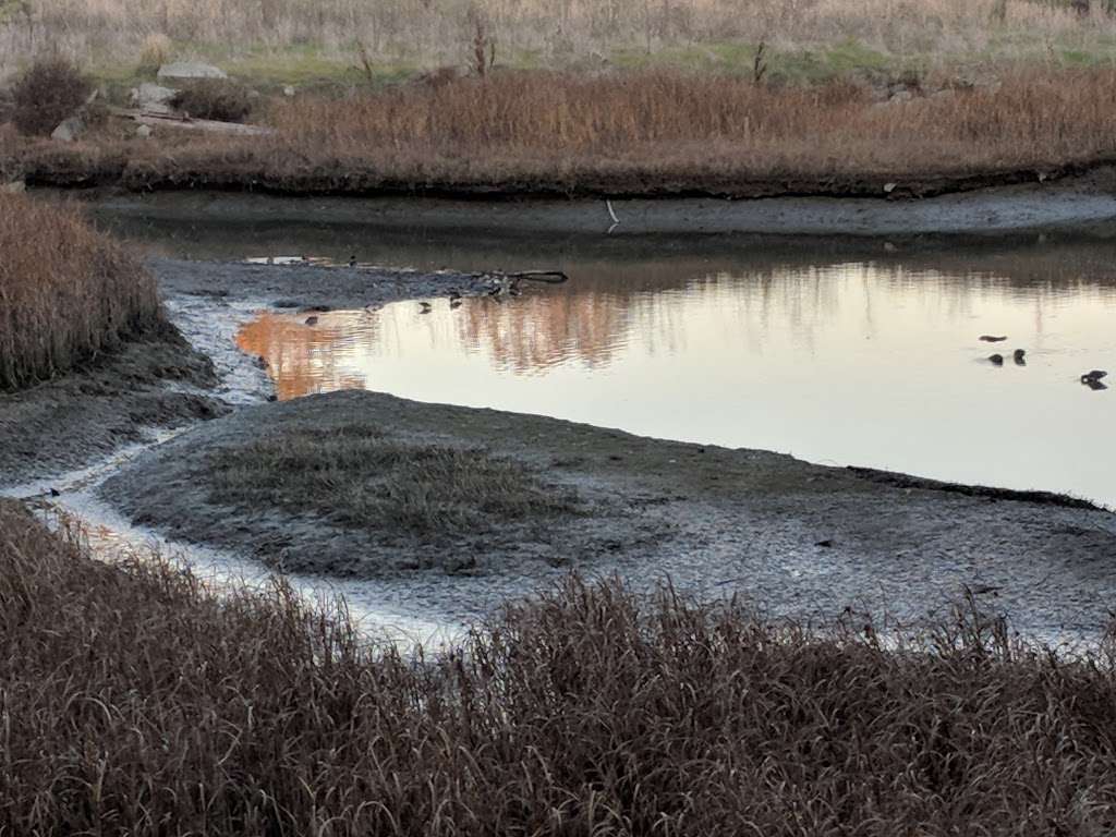 Meeker Slough | Richmond, CA 94804, USA